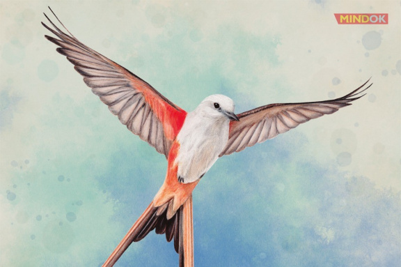 Jaká je budoucnost dotisků stolních her? Názory firem značně polarizují