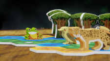 Life of the Amazonia 6