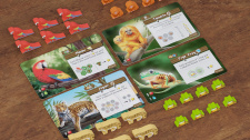 Life of the Amazonia 4