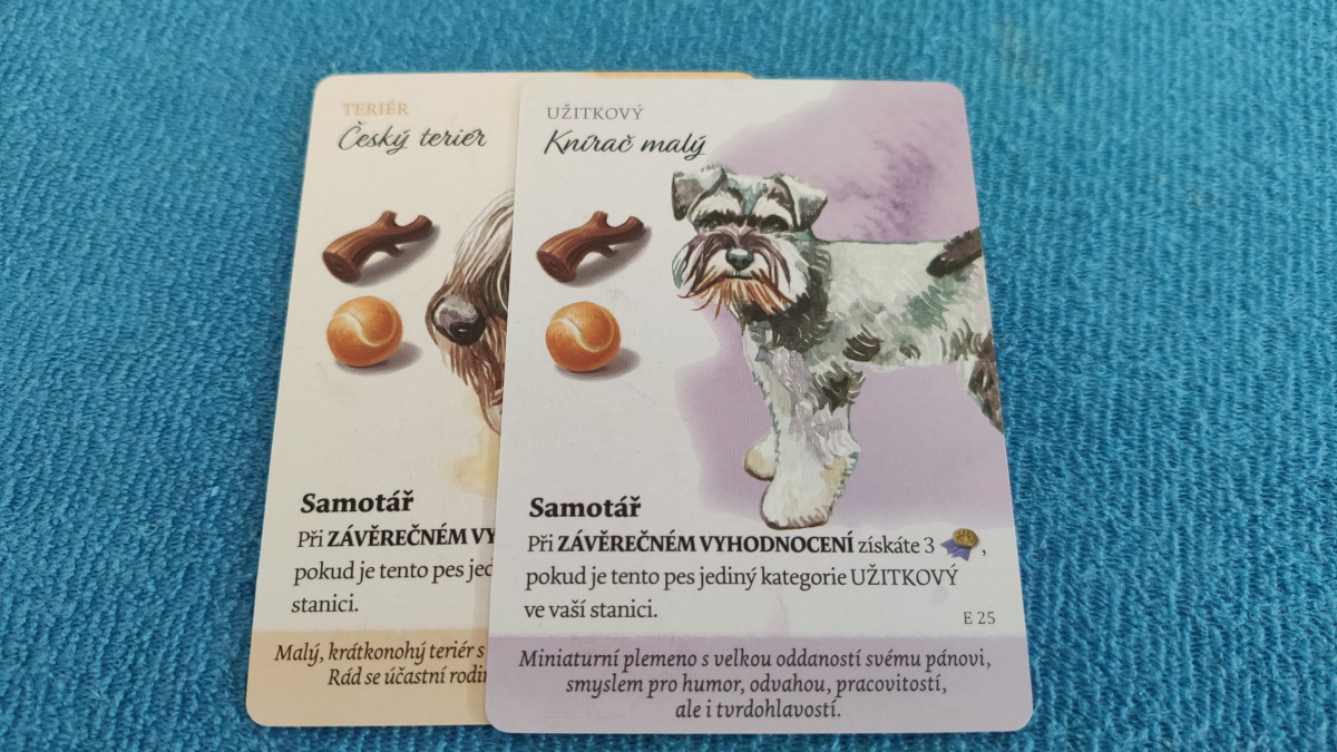 Psí park: Evropští psi a Psí hvězdy – recenze dvojice rozšíření pro pejskaře