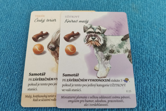 Psí park: Evropští psi a Psí hvězdy – recenze dvojice rozšíření pro pejskaře