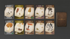 Mycology