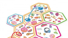 Dobble Connect