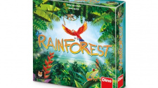 Rainforest