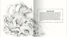 Forbidden Lands: Book of Beasts