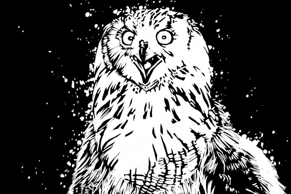 Medvědi už neujíždí na medu. Teď chtějí kokain!