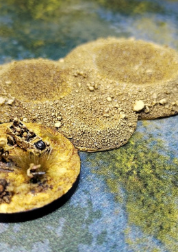 Terramorph Miniatures terény