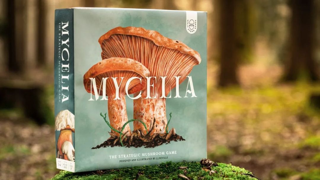 Mycelia je další zajímavá deskovka pro milovníky českého národního sportu – houbaření