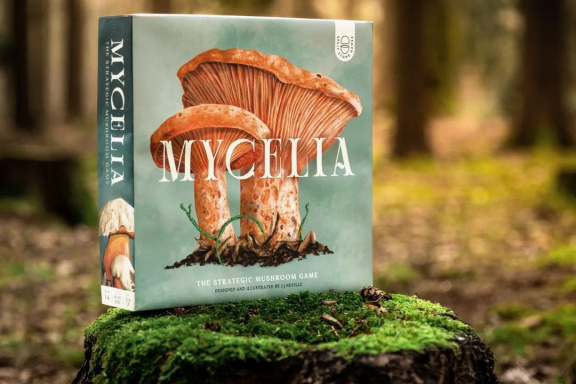 Mycelia je další zajímavá deskovka pro milovníky českého národního sportu – houbaření