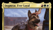 Magic: The Gathering – Fallout