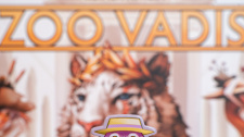 Zoo Vadis