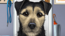Bark Avenue