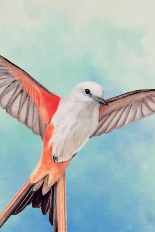 Začtěte se do prvního pořádného shrnutí letošního roku