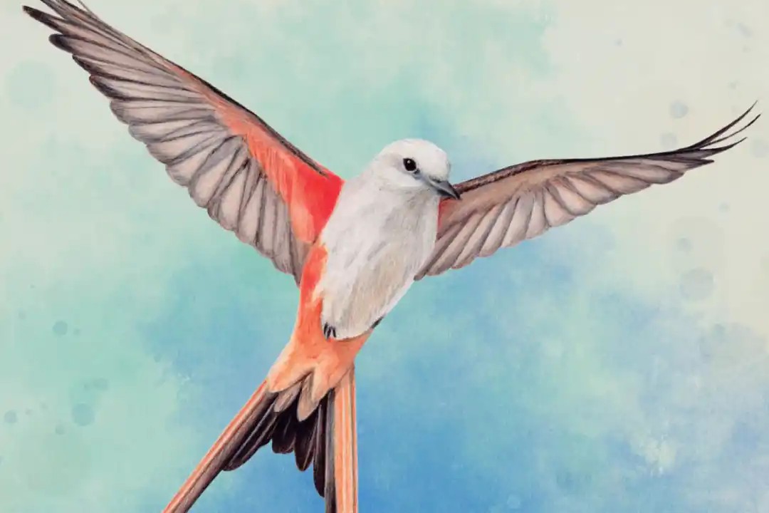 Začtěte se do prvního pořádného shrnutí letošního roku