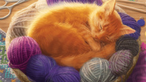 Knitting Circle