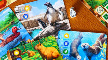 Zoo Tycoon: The Board Game – New Shores