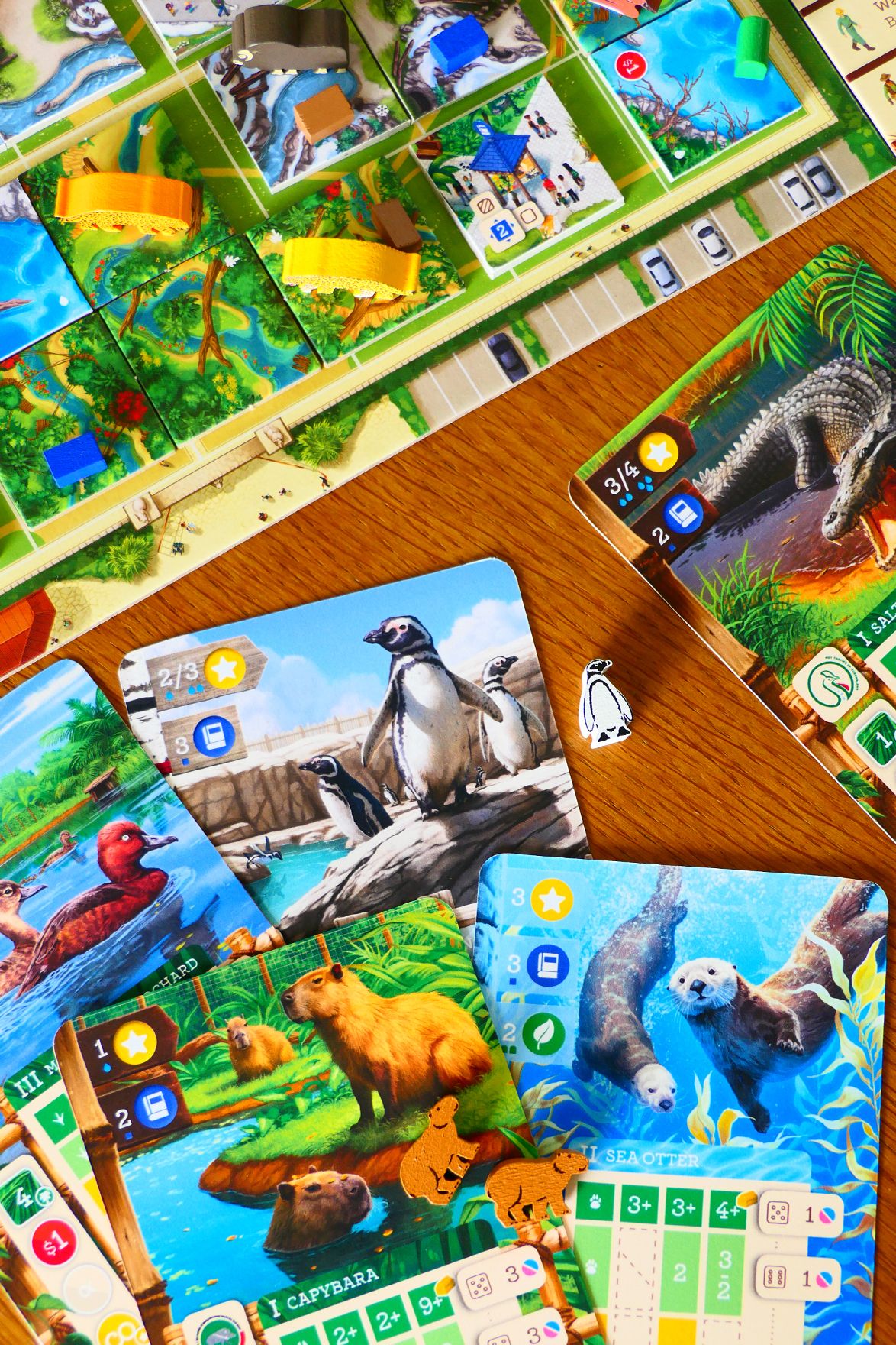 Zoo Tycoon: The Board Game – New Shores
