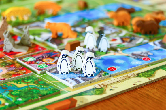 Rozšíření New Shores obohatí deskovku Zoo Tycoon o vodní, polární a australský život