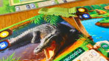 Zoo Tycoon: The Board Game – New Shores