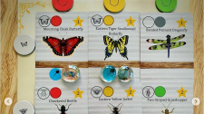 Insectarium
