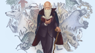 Awaken Realms mají za sebou první akvizici. Do mířidel se jim dostali tvůrci Darwinovy cesty