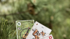 Pilgrims: Curious Adventures
