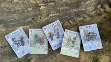 Pilgrims: Curious Adventures