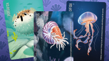 Similo: Aquatic Animals