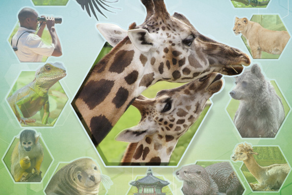 Záchrana zvířat pokračuje. Na skvělé Archa Nova naváže i v češtině jednodušší Sanctuary