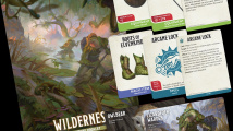 Dungeons & Dragons: Heroes of the Borderlands