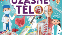 Pojďme se učit: Naše úžasné tělo