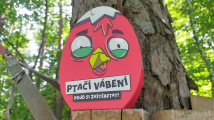 Ptáčí vábení