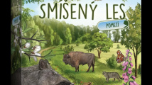 Smíšený les: Pomezí