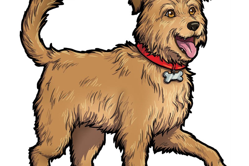 Dog Fluxx je psí verzí oblíbené karetní hry