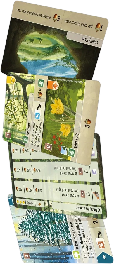 Smíšený les: Průzkum