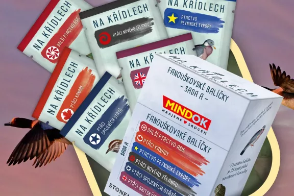 Začtěte se do dalšího souhrnu zpráv z českého deskoherního rybníčku