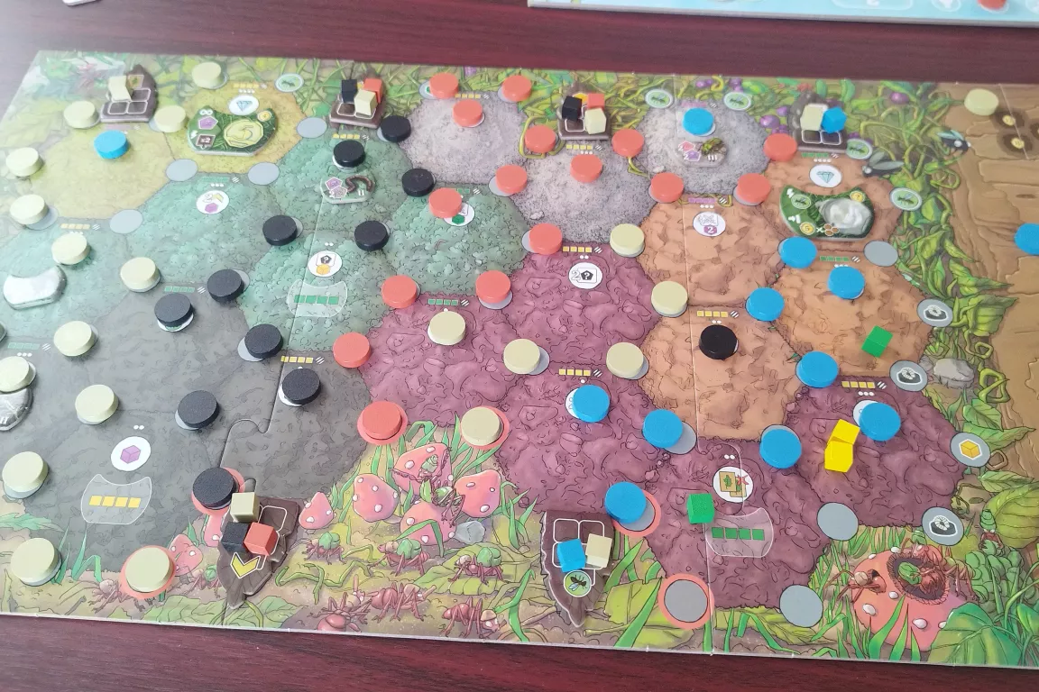 Mravenci jsou euro jako řemen