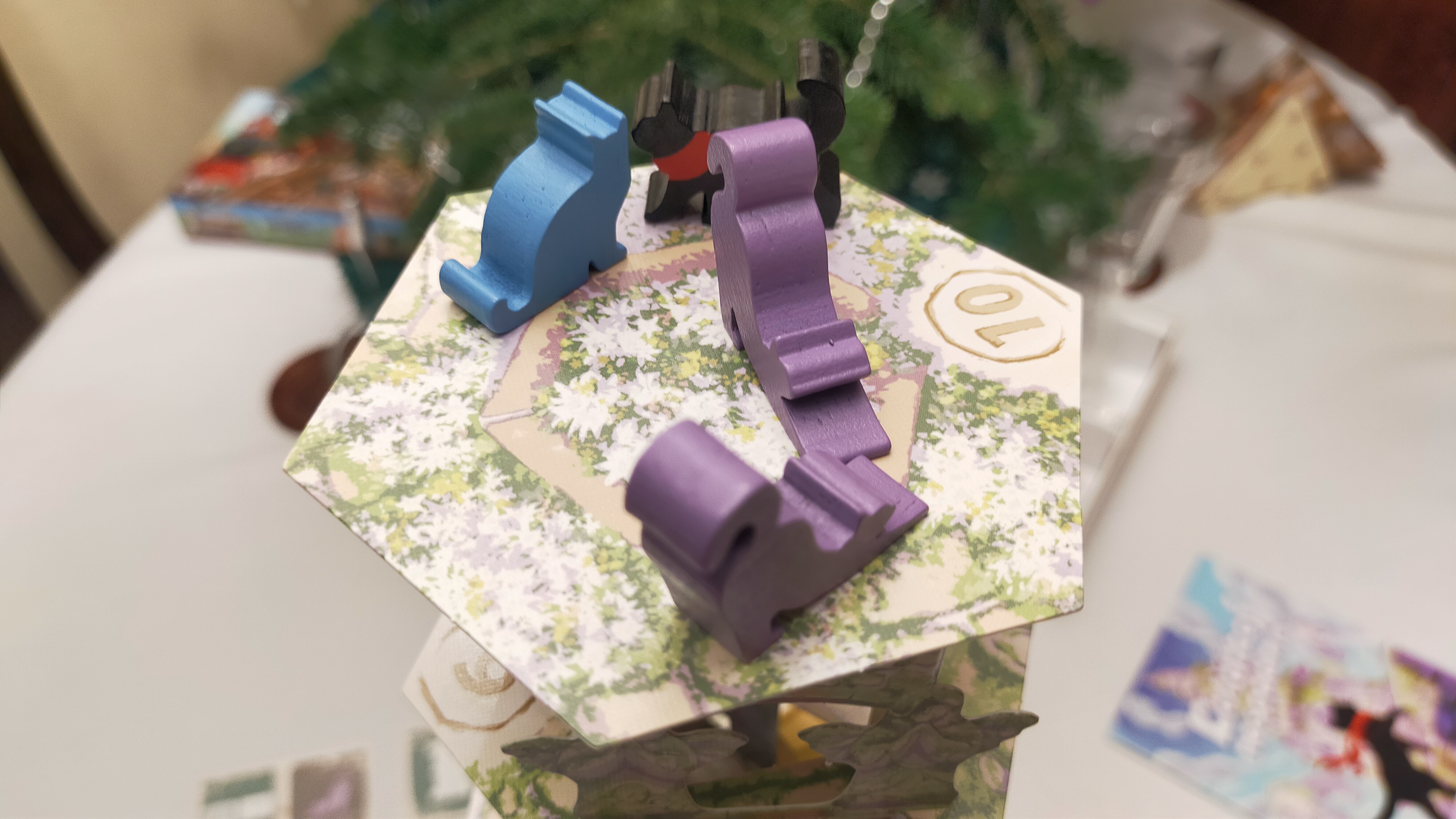 Koťátko, nespadni!