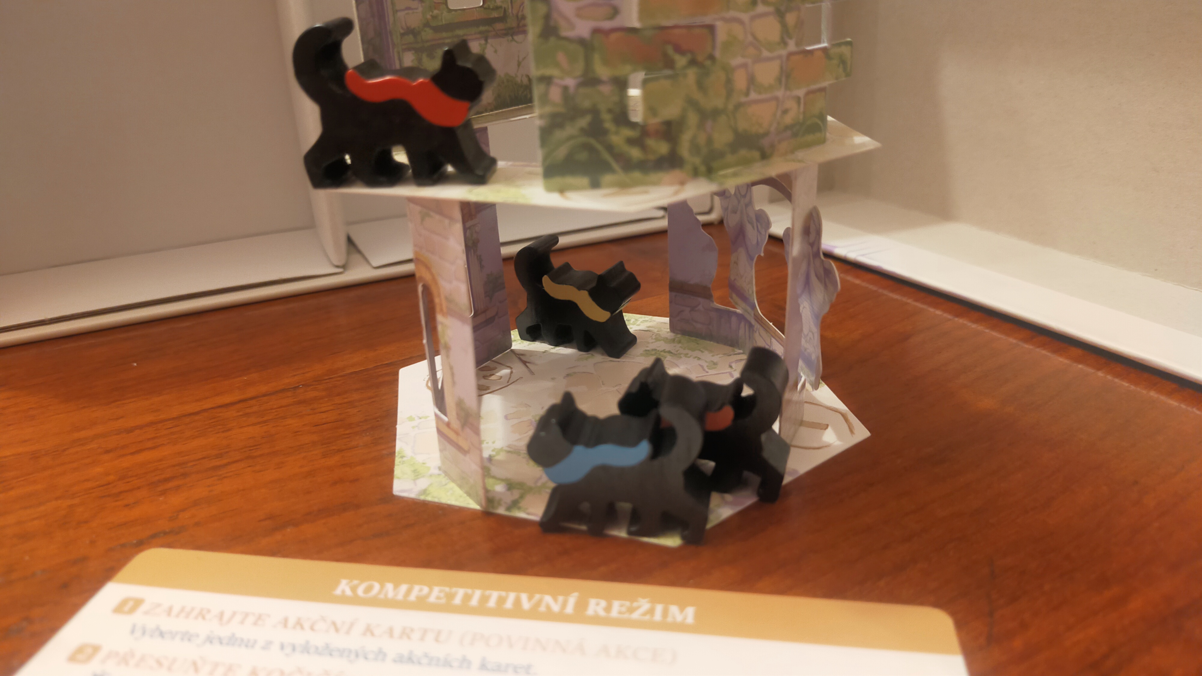 Koťátko, nespadni!