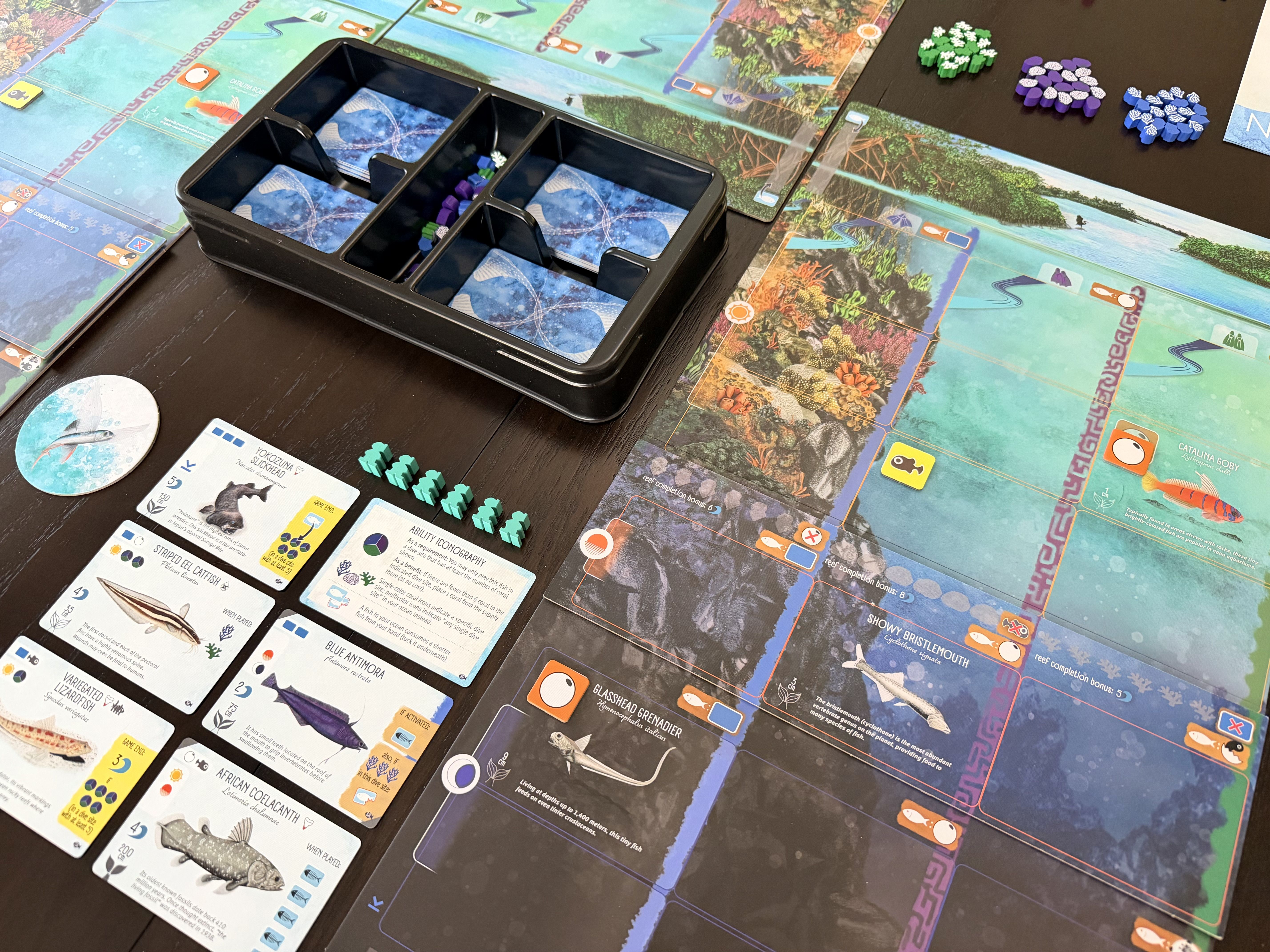 Finspan: Sharks & Reefs