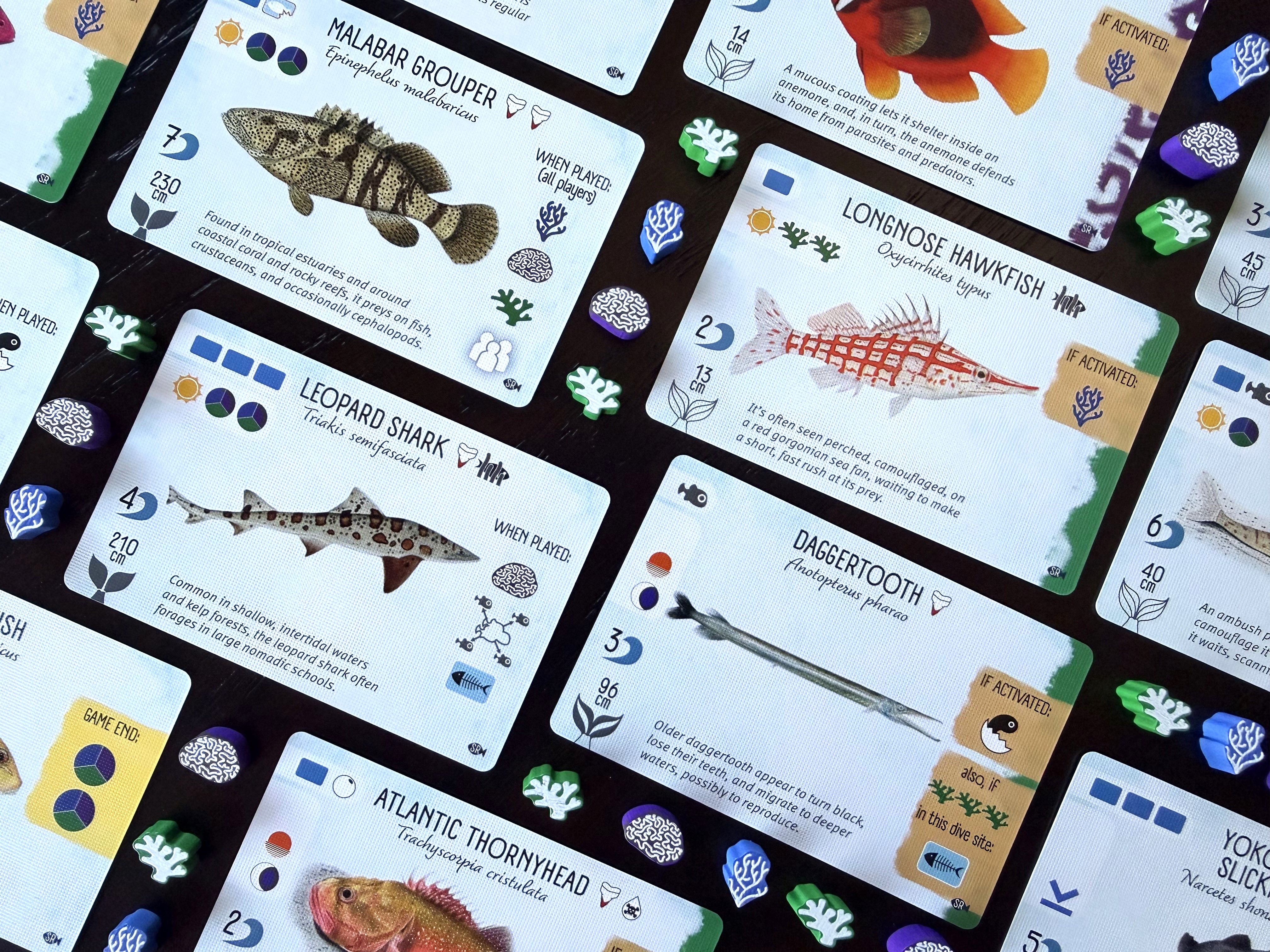 Finspan: Sharks & Reefs