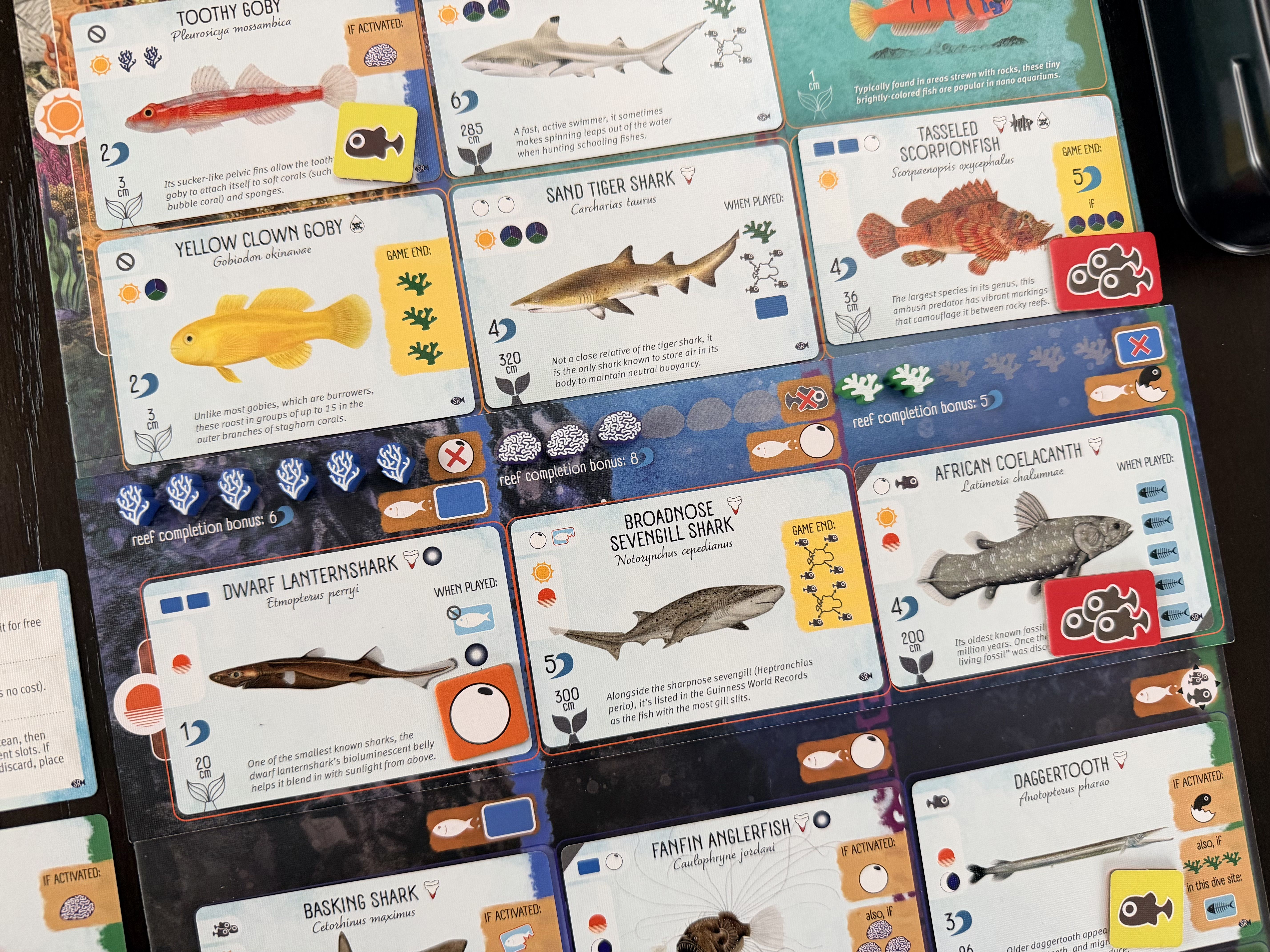 Finspan: Sharks & Reefs