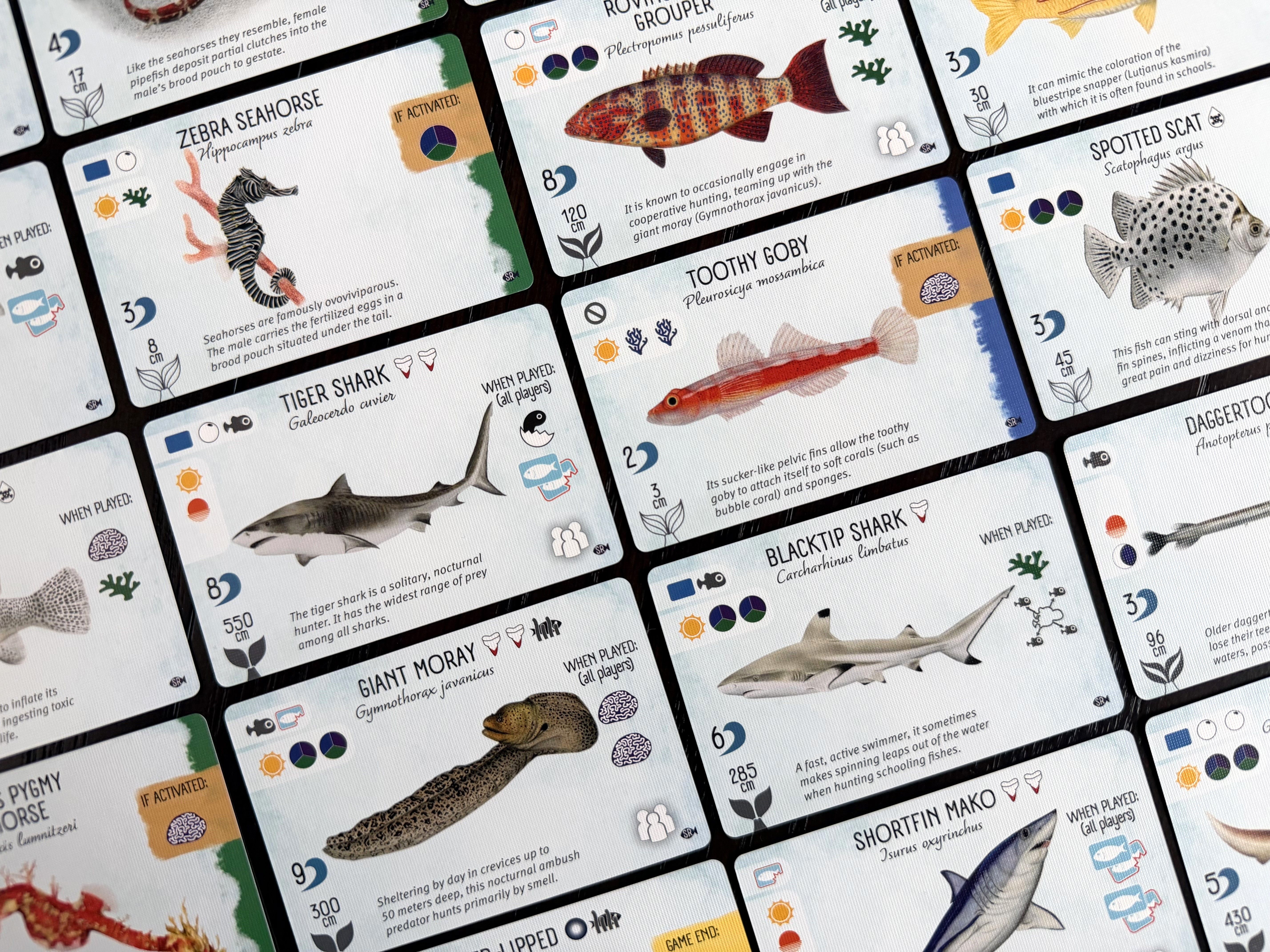 Finspan: Sharks & Reefs