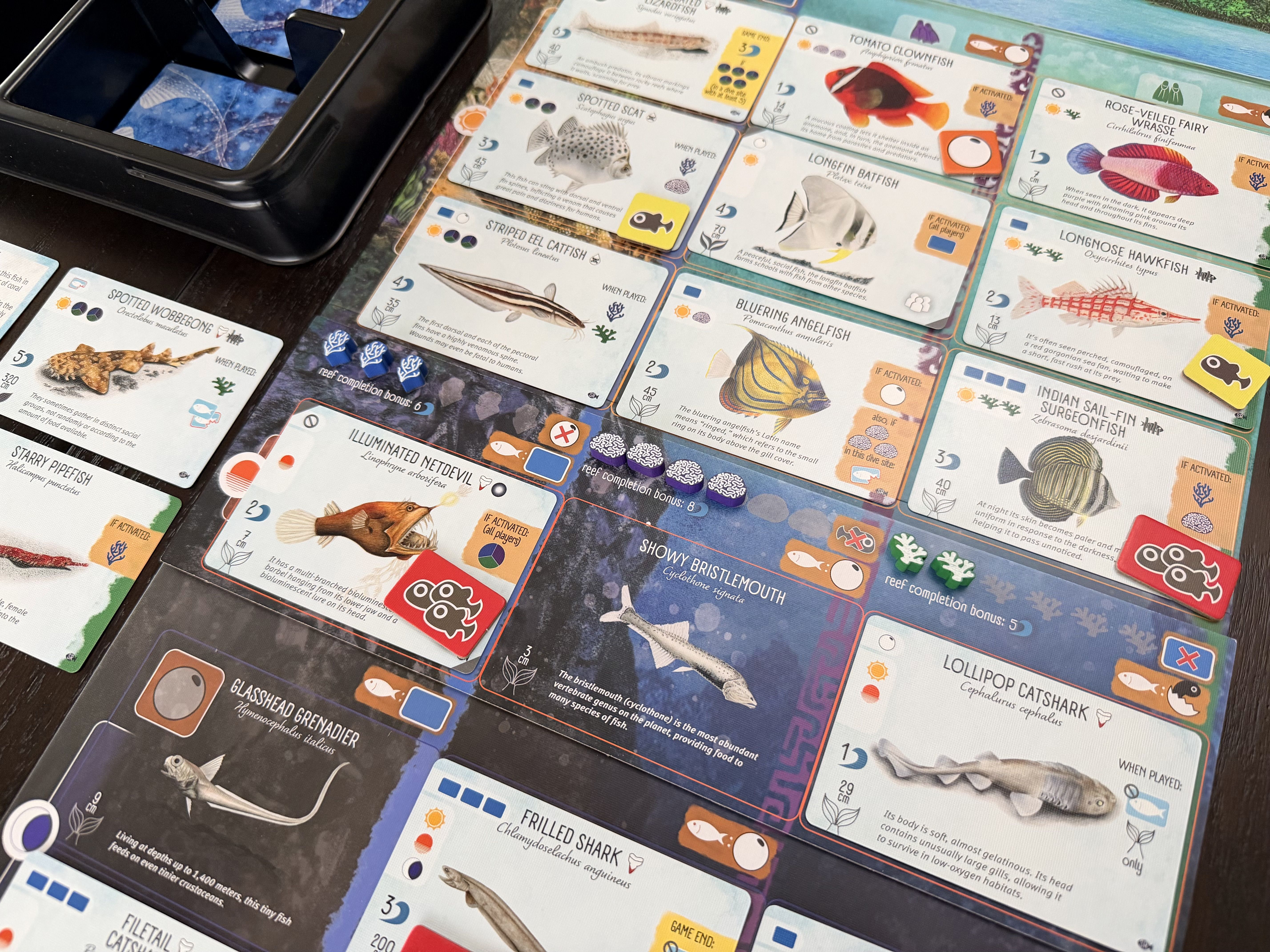 Finspan: Sharks & Reefs