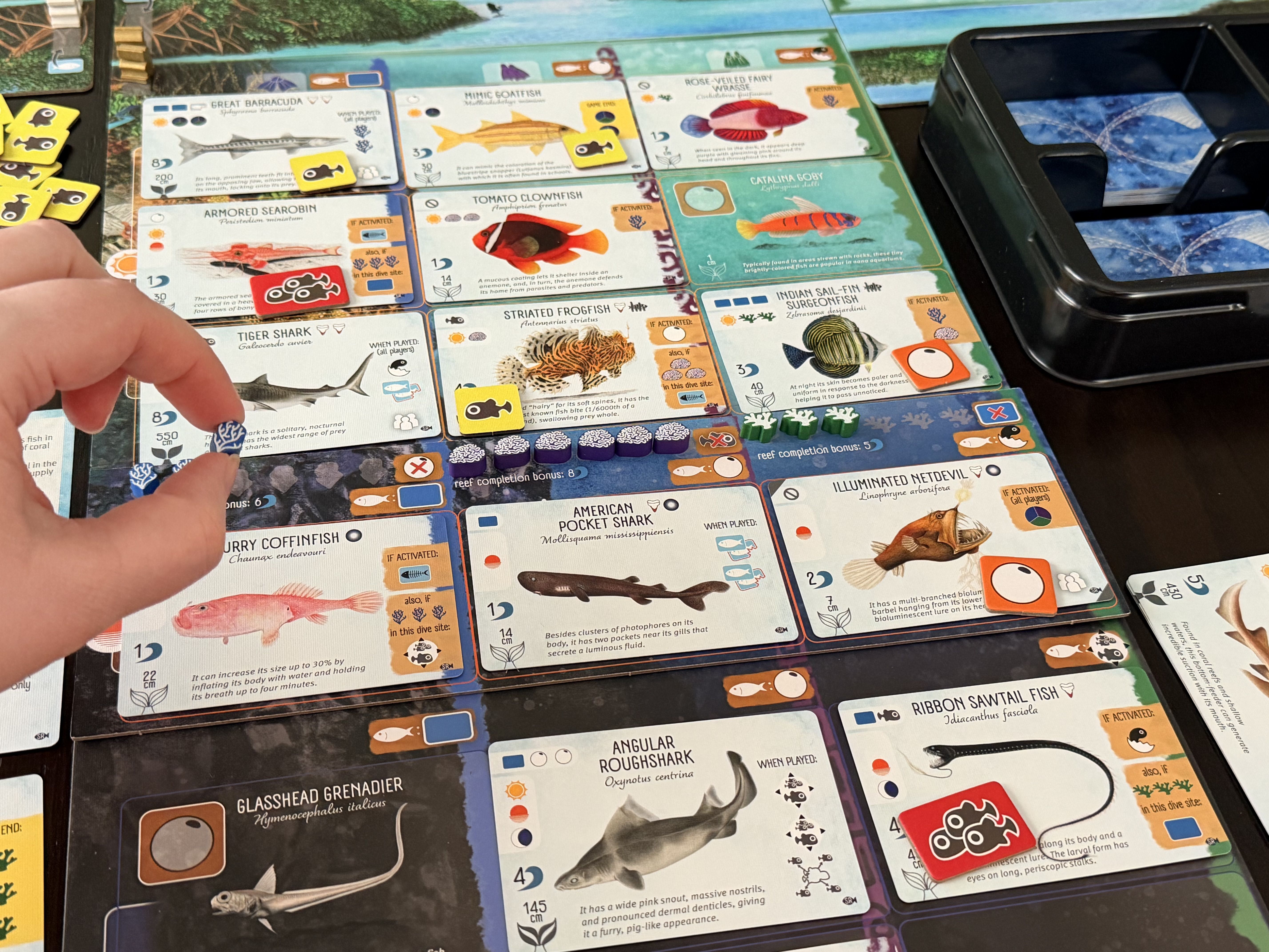 Finspan: Sharks & Reefs