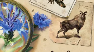 Páteční souhrn tuzemských novinek: stolní Pilgrims, taxonomický Carl Linné a lovecraftovské Hlubiny lítosti