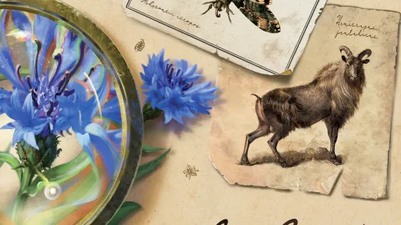 Páteční souhrn tuzemských novinek: stolní Pilgrims, taxonomický Carl Linné a lovecraftovské Hlubiny lítosti