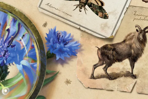 Páteční souhrn tuzemských novinek: stolní Pilgrims, taxonomický Carl Linné a lovecraftovské Hlubiny lítosti