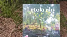 Letokruhy