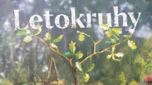 Letokruhy
